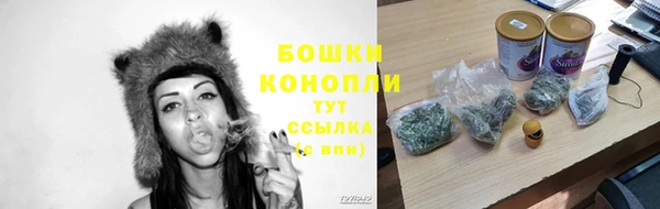 молекула духа Краснослободск