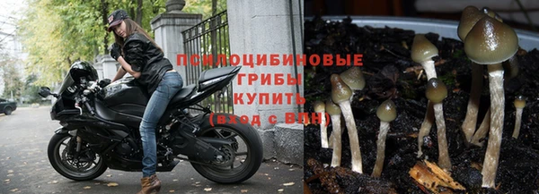 марки nbome Ладушкин