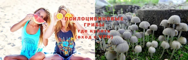 бошки Красноперекопск