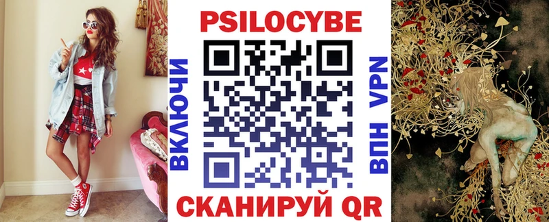 МЕГА как войти  где купить наркотик  Михайловка  Псилоцибиновые грибы MAGIC MUSHROOMS 