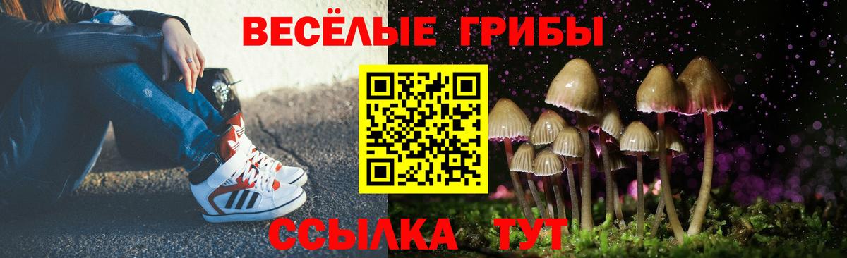 Псилоцибиновые грибы Psilocybe  Вход с VPN  Михайловка 